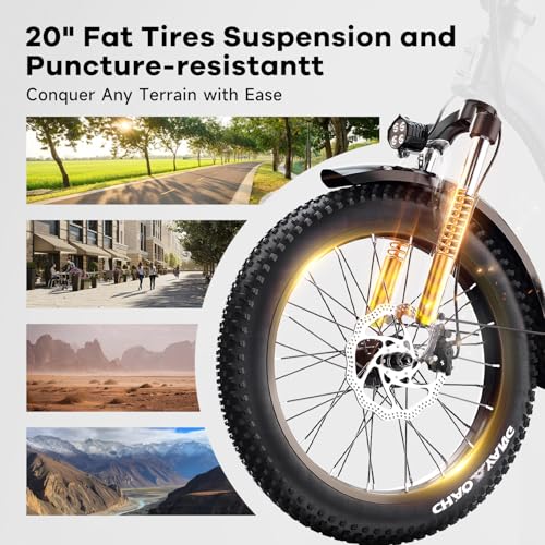20" Folding Electric Bike with 48V20A Removable Lithium-Battery W1826