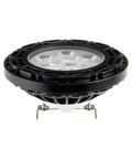 Black Landscape LED PAR36 10W 25 Degree N693