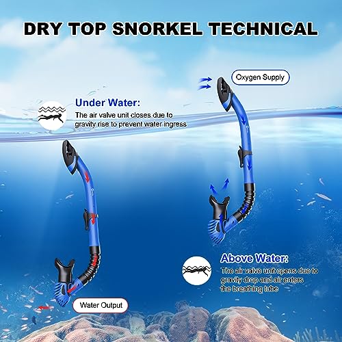 Dry Snorkel Set with Tempered Glass Snorkel Mask and Dry Snorkel Tube K853712