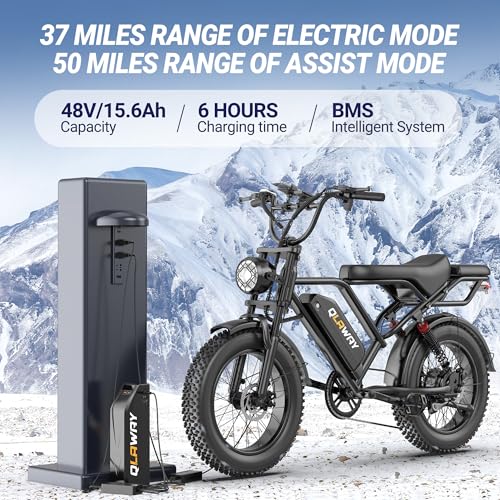 Electric Dirt Bike 750w 20" Full Suspension 48V 15.6AH Removable Battery 2 Seater C130630