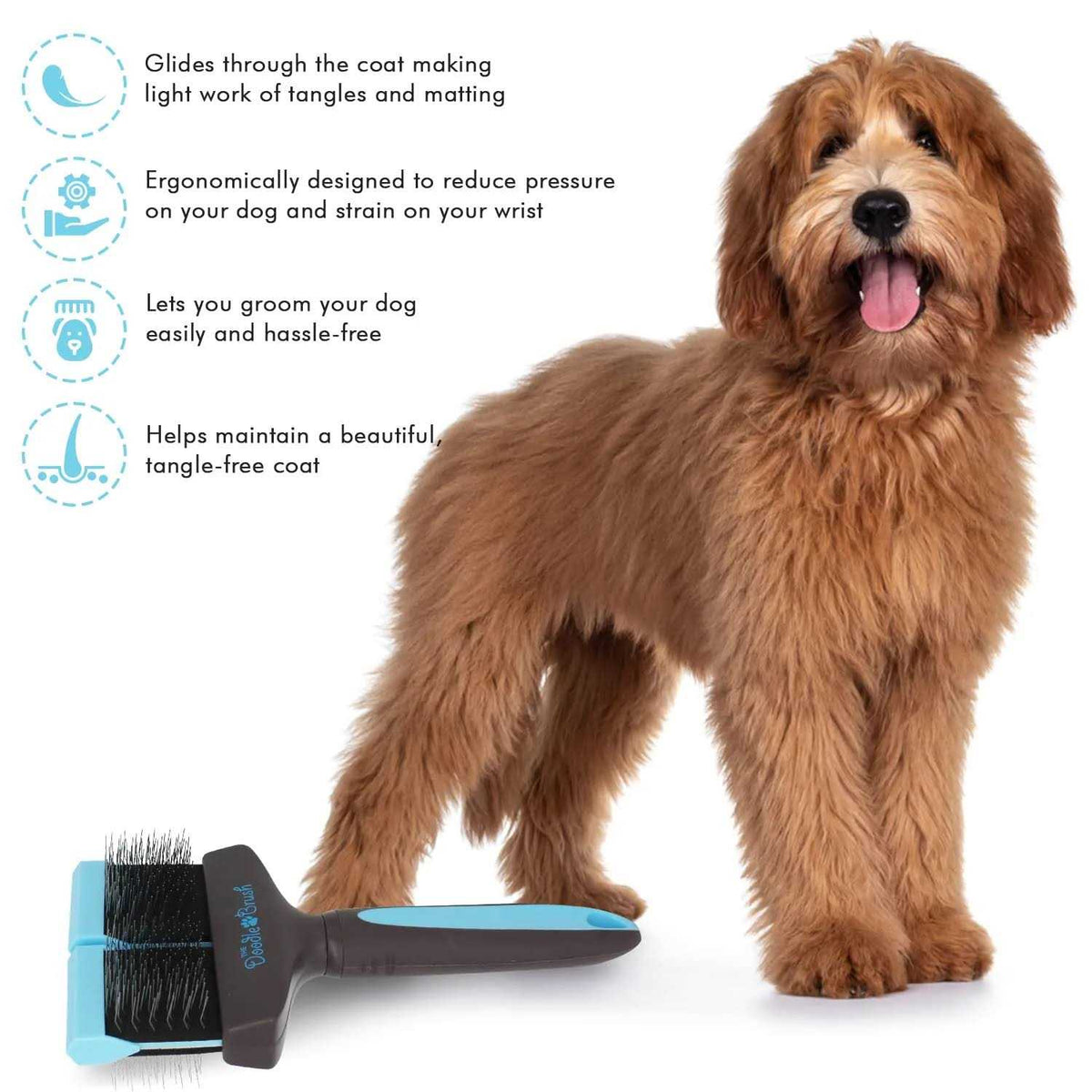 Doodle Brush R87034