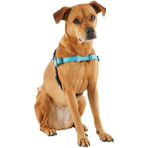 Padded Reflective No Pull Harness L45567
