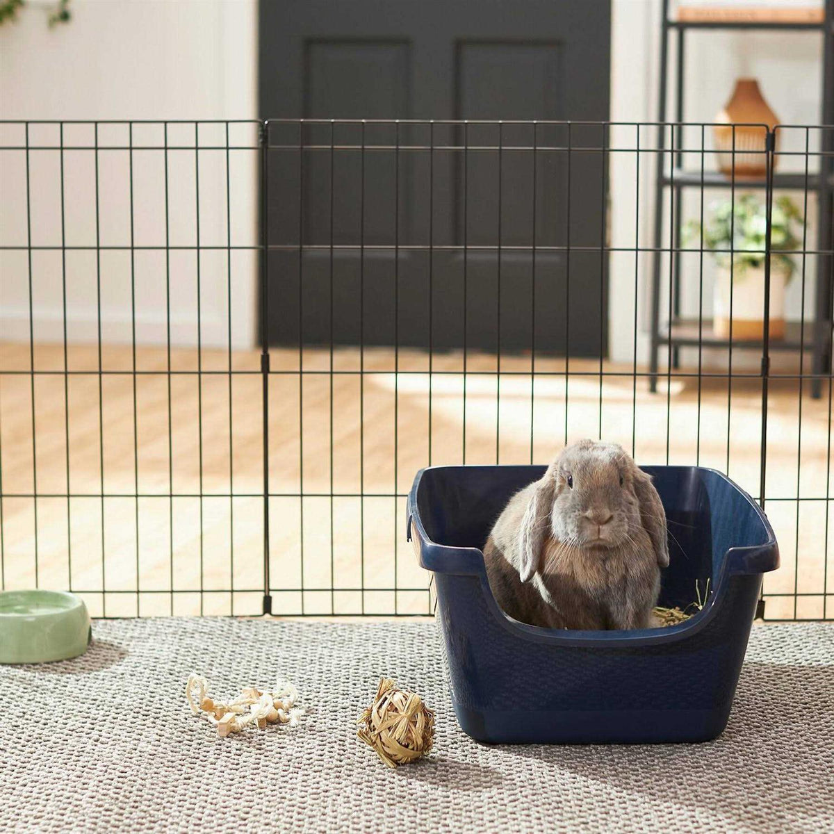 Small Pet Litter Box S119