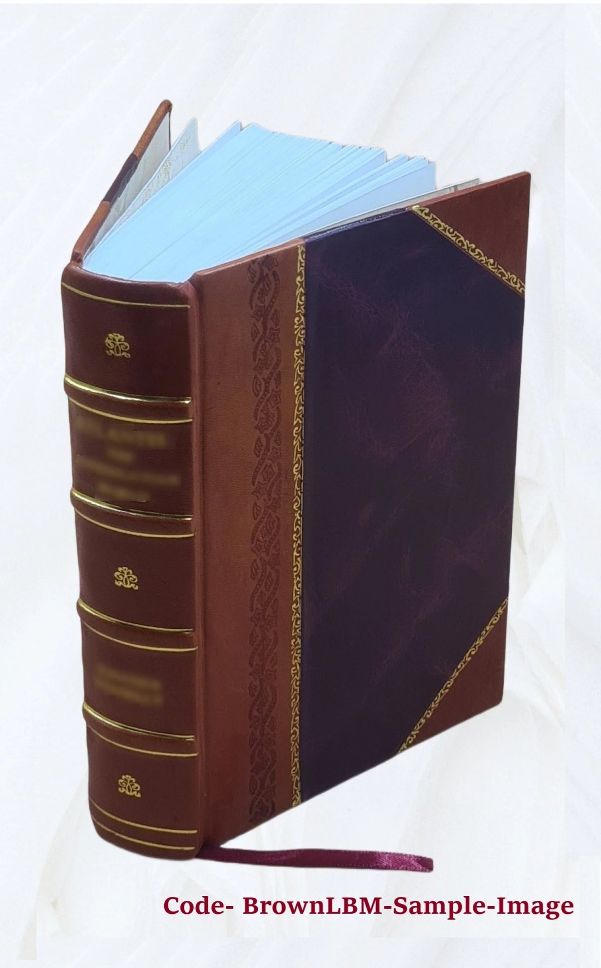 Opera, Interpretatione et notis illustravit Carolus Ruæus O22087