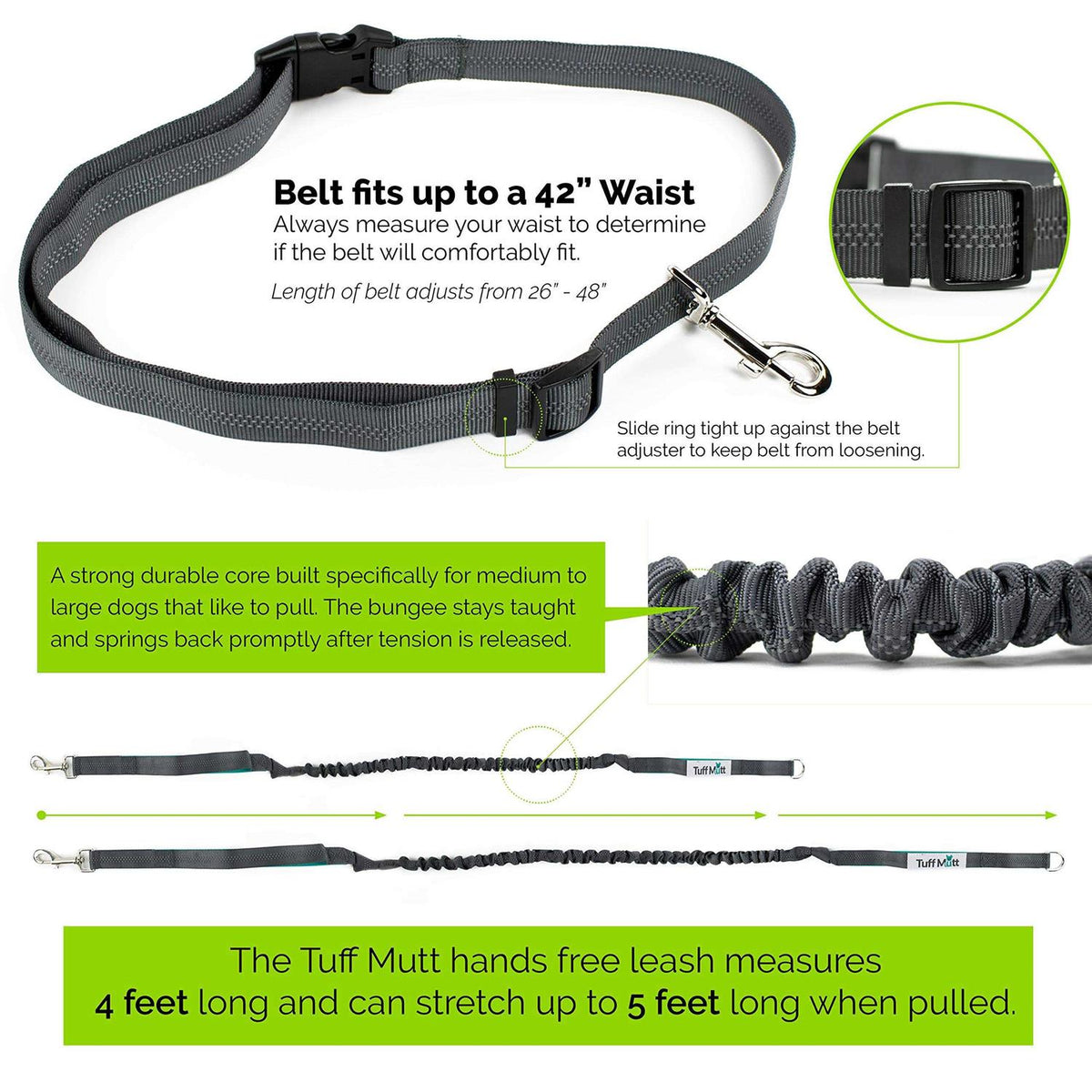 Hands Free Dog Leash with Dual-Handle Bungee P964601