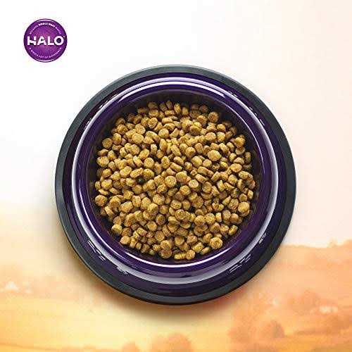 Seafood Sensitive Stomach Dry Cat Food P955670