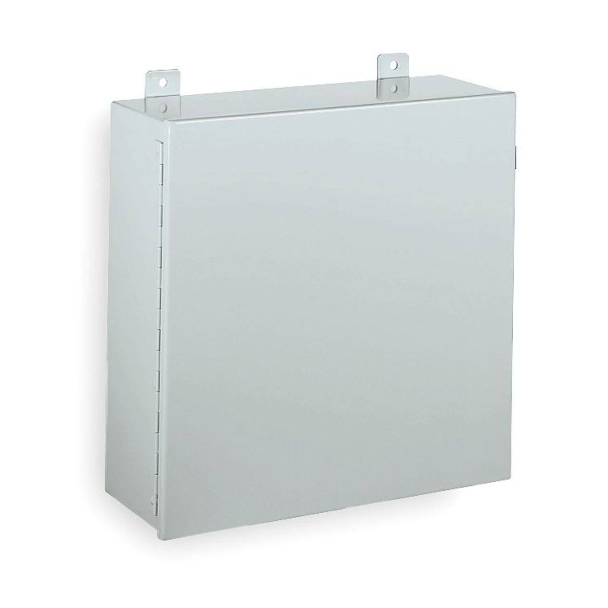 24 In.Hx20 In.Wx9 in. D Enclosure L58132