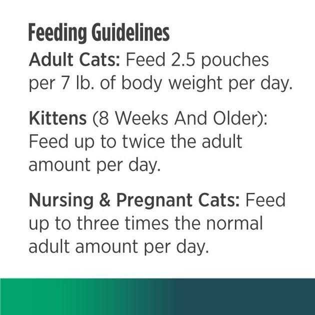 Chicken Cat Wet Food 2.8 oz I735