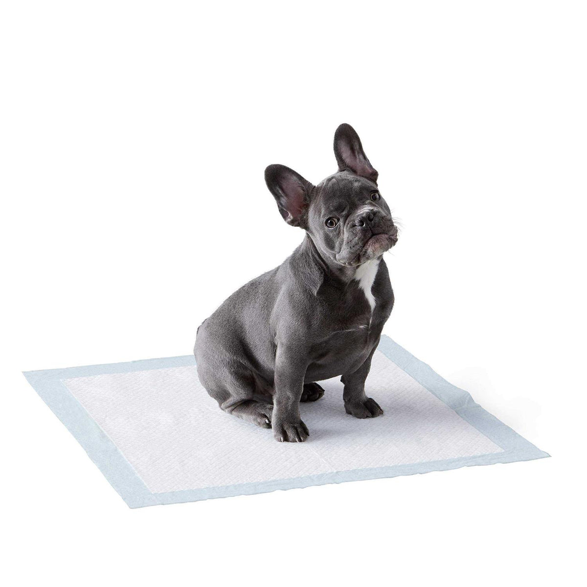 Dog and Puppy Pee Pads 5-layer Leak-proof Quick-dry F2519