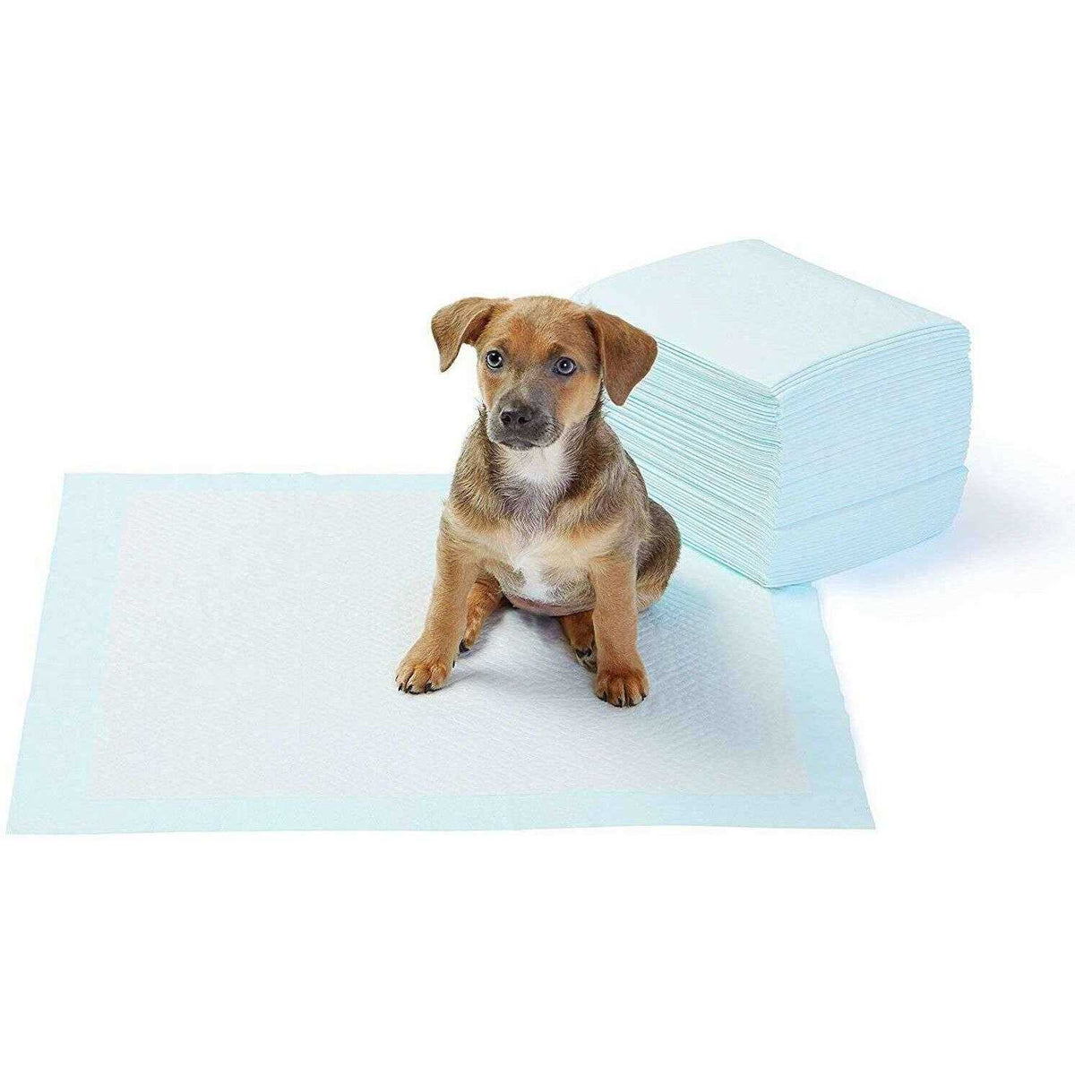 Dog and Puppy Pee Pads 5-layer Leak-proof Quick-dry F2519