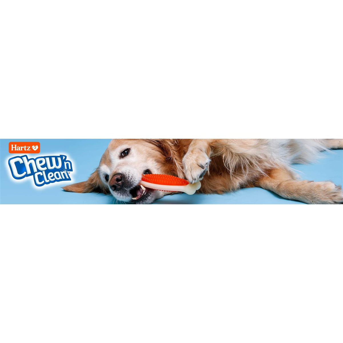 Tough Dog Chew Toy N691