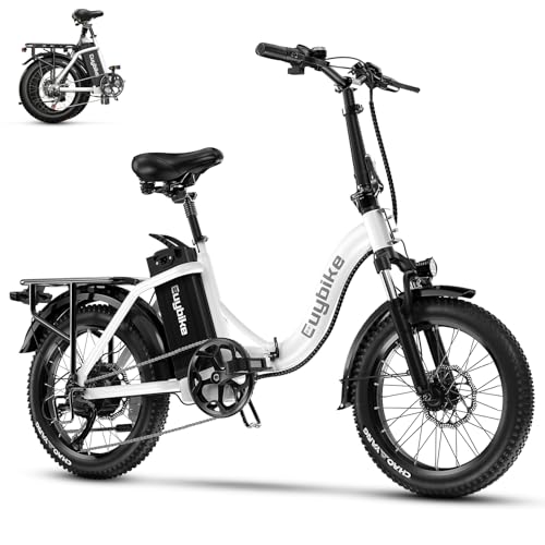 20" Folding Electric Bike with 48V20A Removable Lithium-Battery W1826