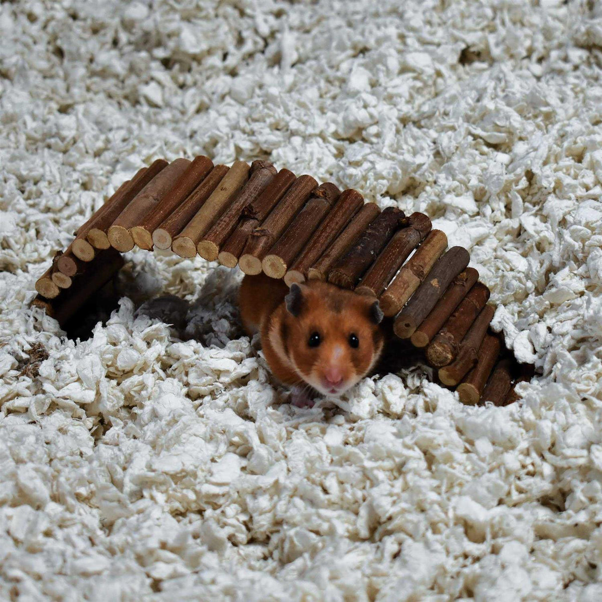 White Small Pet Bedding O814653