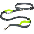 Hands Free Dog Leash with Dual-Handle Bungee P964601