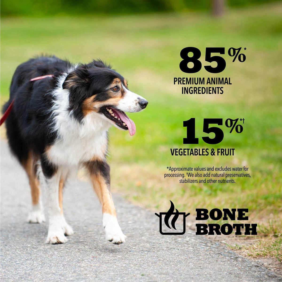 Beef Recipe Dog Food in Bone Broth C8059