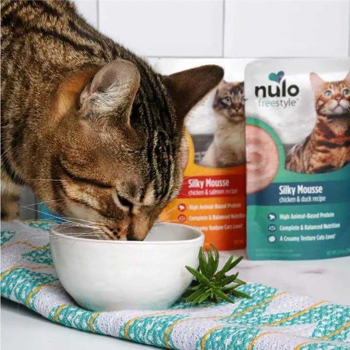 Chicken Cat Wet Food 2.8 oz I735