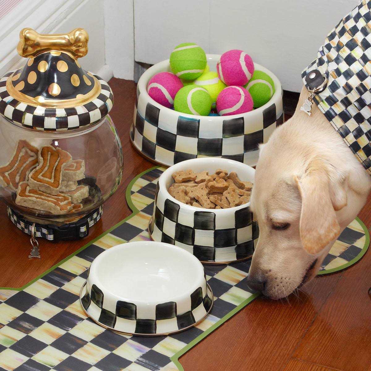 Check Pet Dish B373