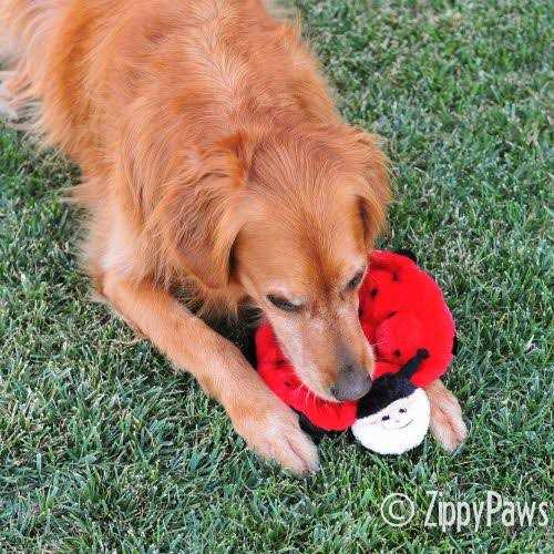 Plush Dog Toy R940