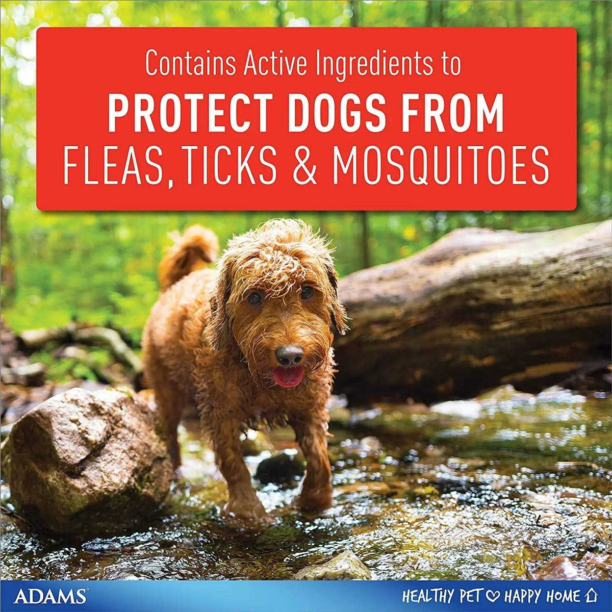 Flea Tick Collar for Dogs Puppies W1549
