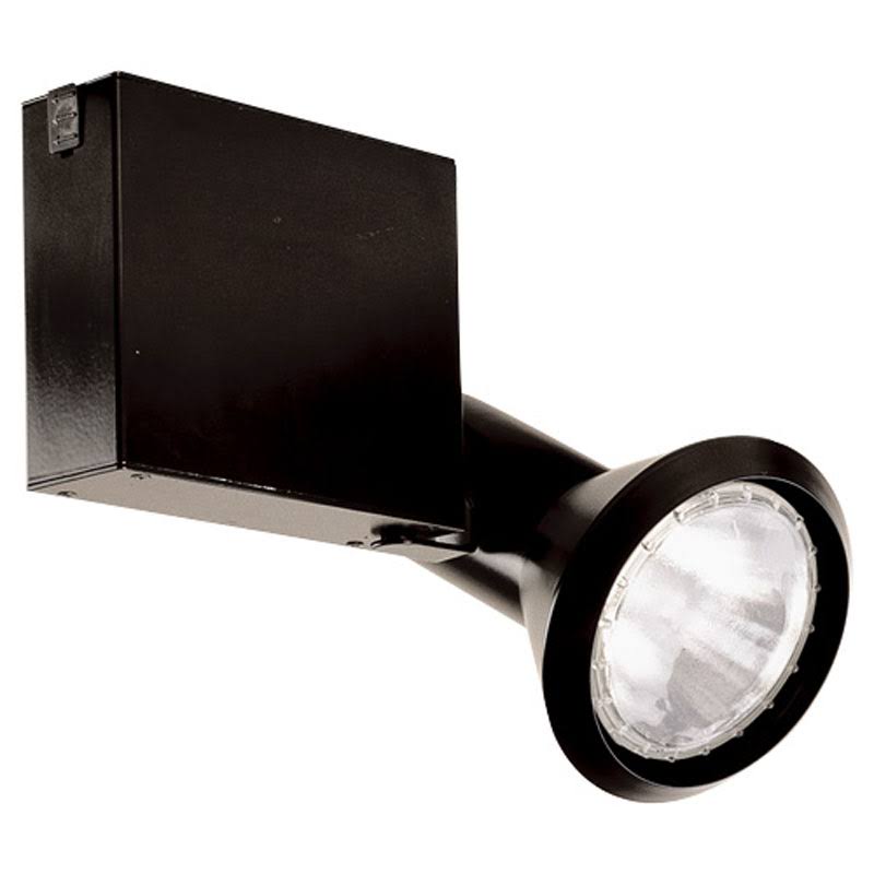 Black Line Voltage Metal Halide PAR30 Fixture V251069