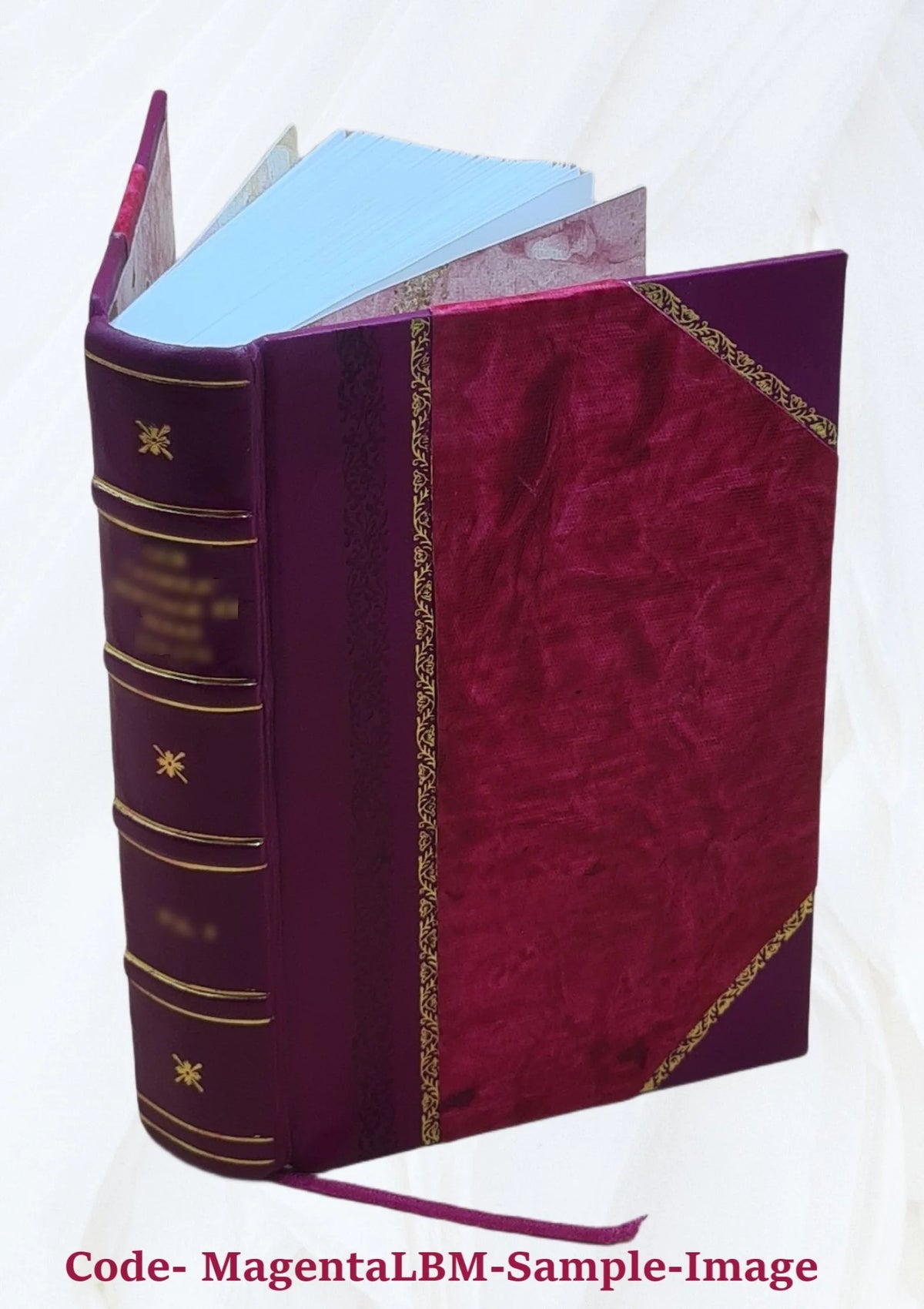 Opera, Interpretatione et notis illustravit Carolus Ruæus O22087