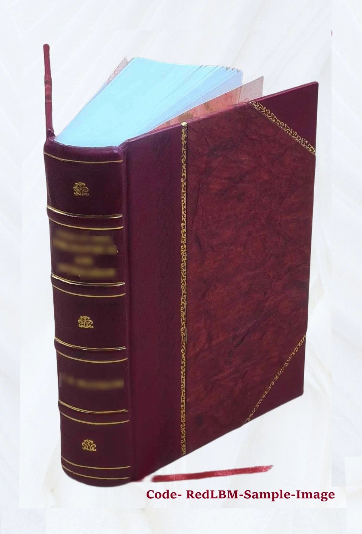 Opera, Interpretatione et notis illustravit Carolus Ruæus O22087