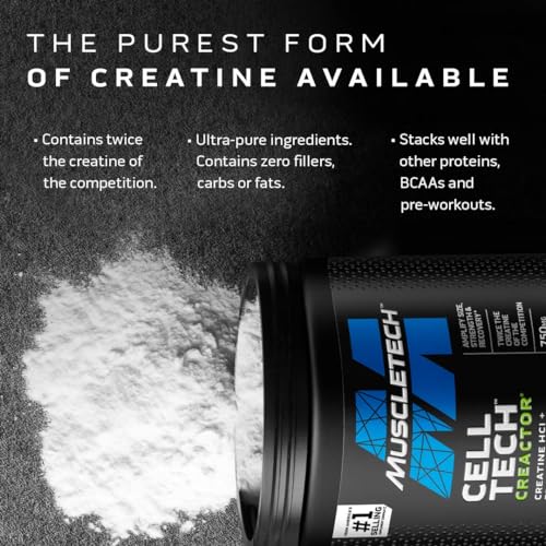 Unflavored Micronized Creatine Monohydrate Powder (80 Servings) B354353