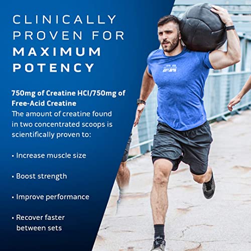 Unflavored Micronized Creatine Monohydrate Powder (80 Servings) B354353