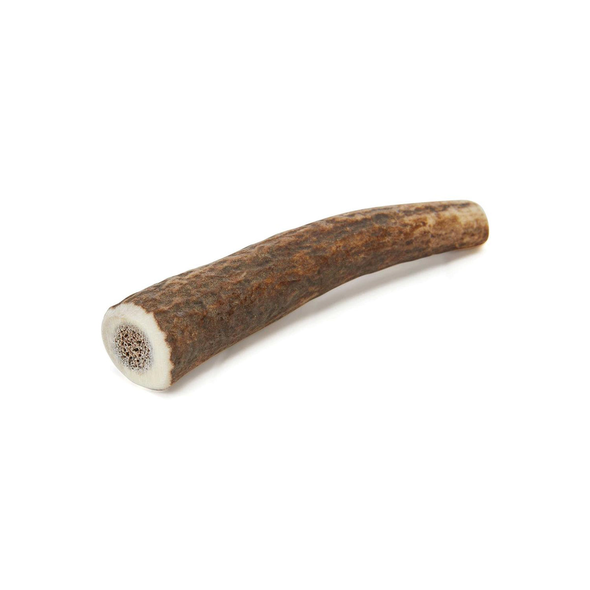 Whole Elk Antler Dog Chew W853038