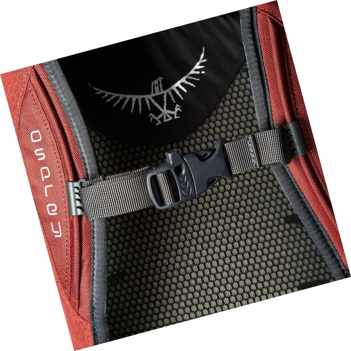 40L Travel Pack C66299