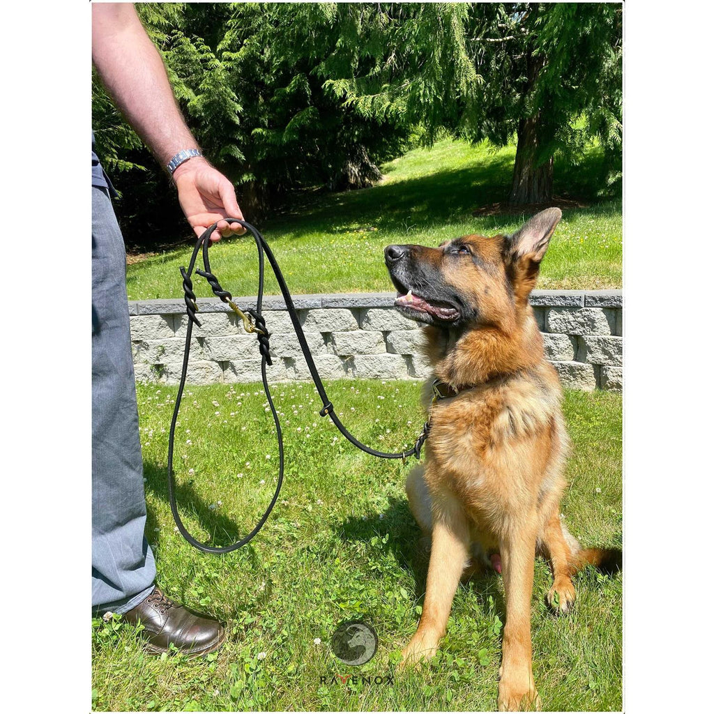Multifunctional Leather Dog Leash D657764