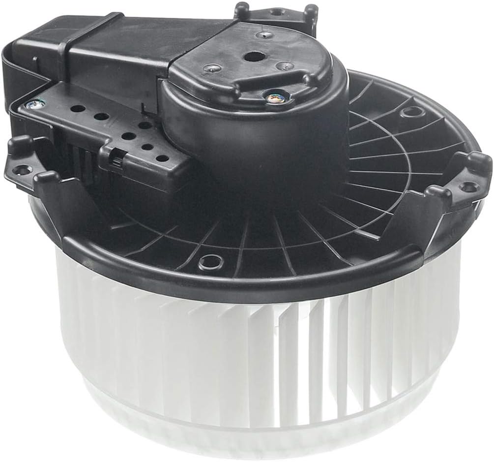 Heater Blower Motor with Fan Cage P607
