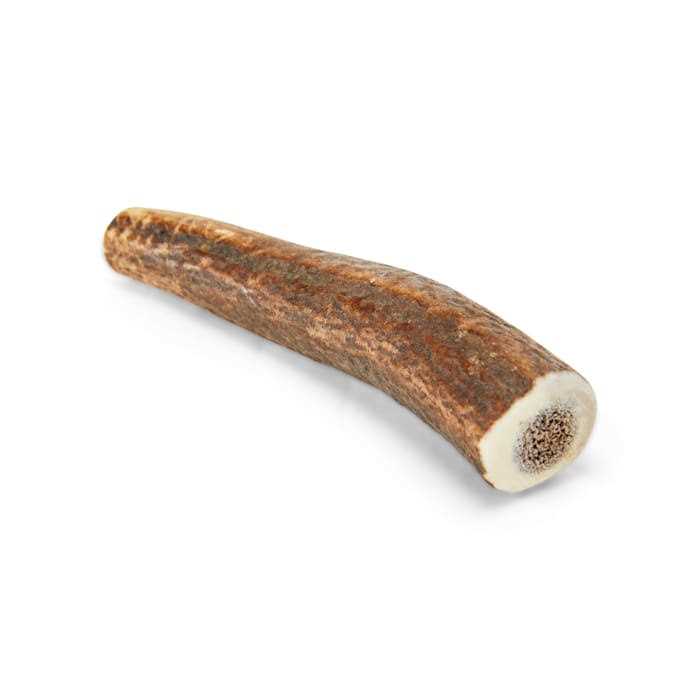 Whole Elk Antler Dog Chew W853038