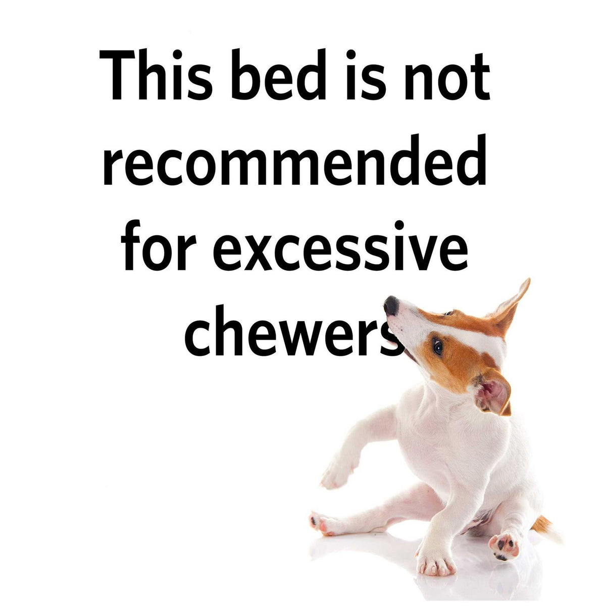 Cushioned Dog Crate Mat N21337