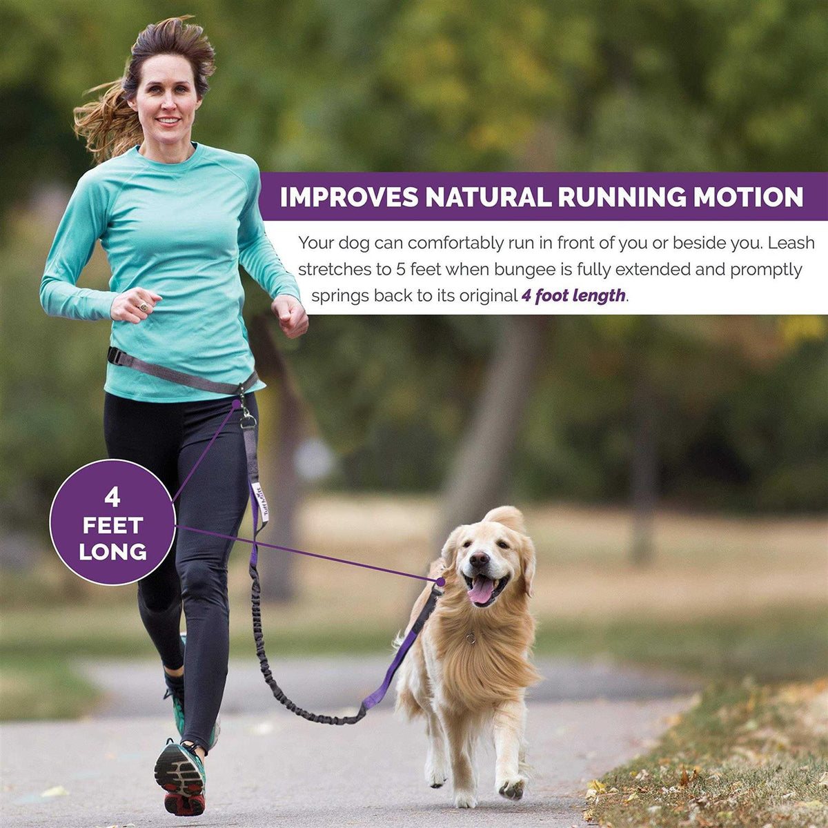 Hands Free Dog Leash with Dual-Handle Bungee P964601