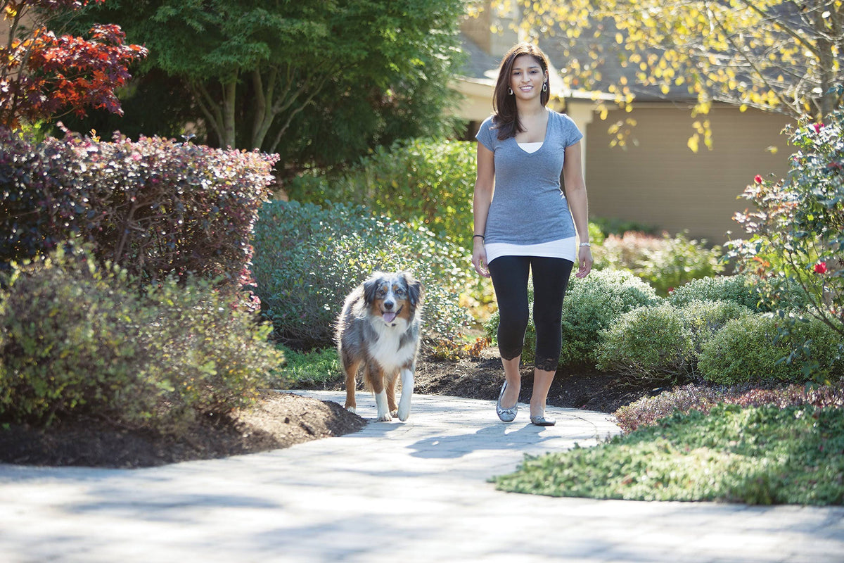 Rechargeable In-Ground Fence for Dogs and Cats G440