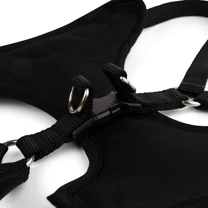 Black Step in Dog Harness X289871