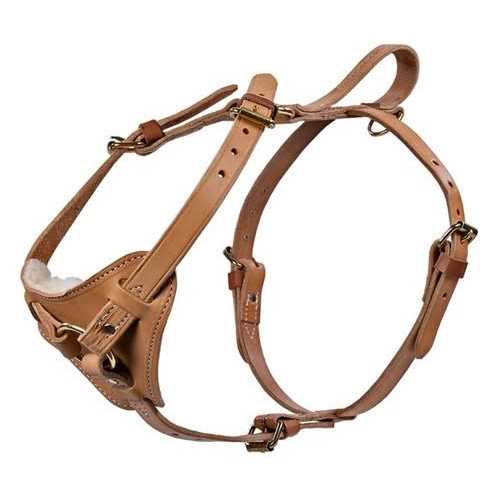 Leather Tracking Harness O5372