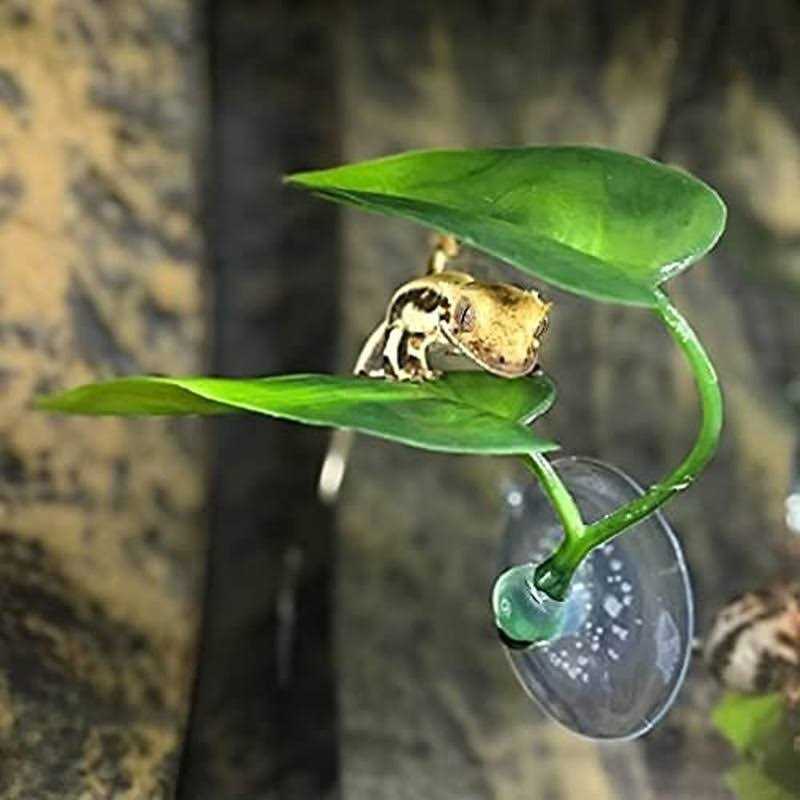 Betta Fish Leaf Pad Plastic Suction Cup V414
