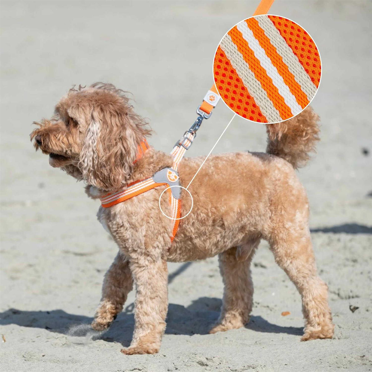 Dog Harness S9573