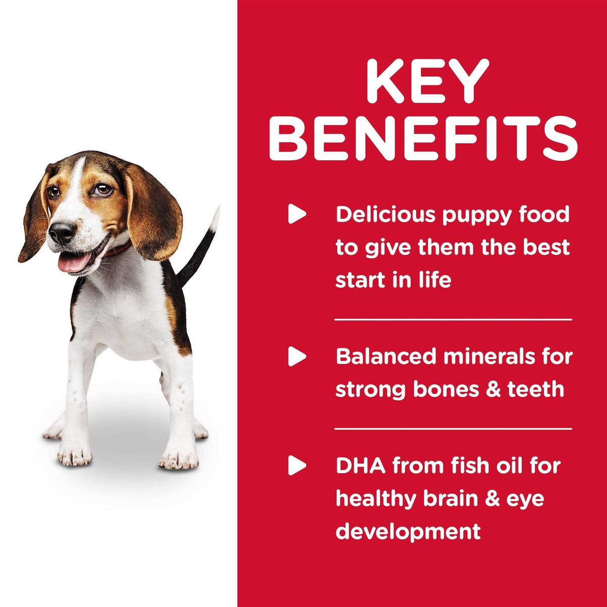 Chicken & Barley Dog Food X6662