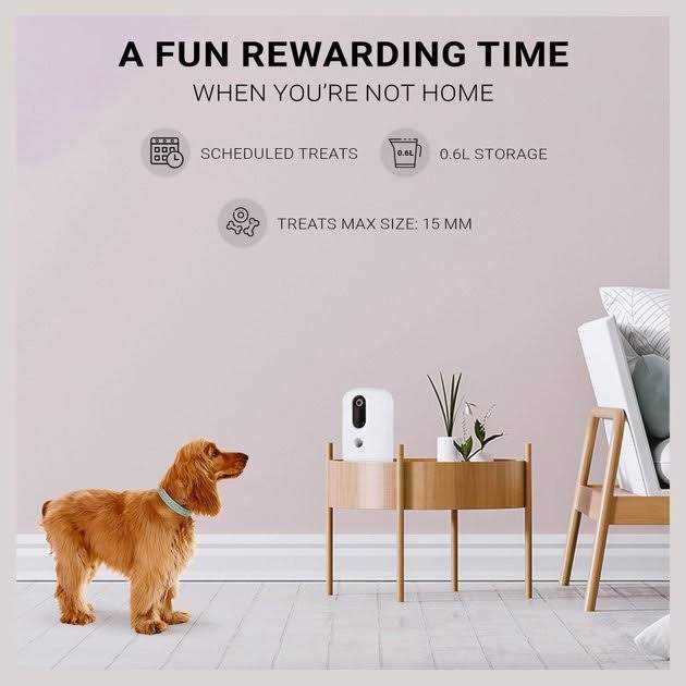 Snack Treat Dispenser I396584