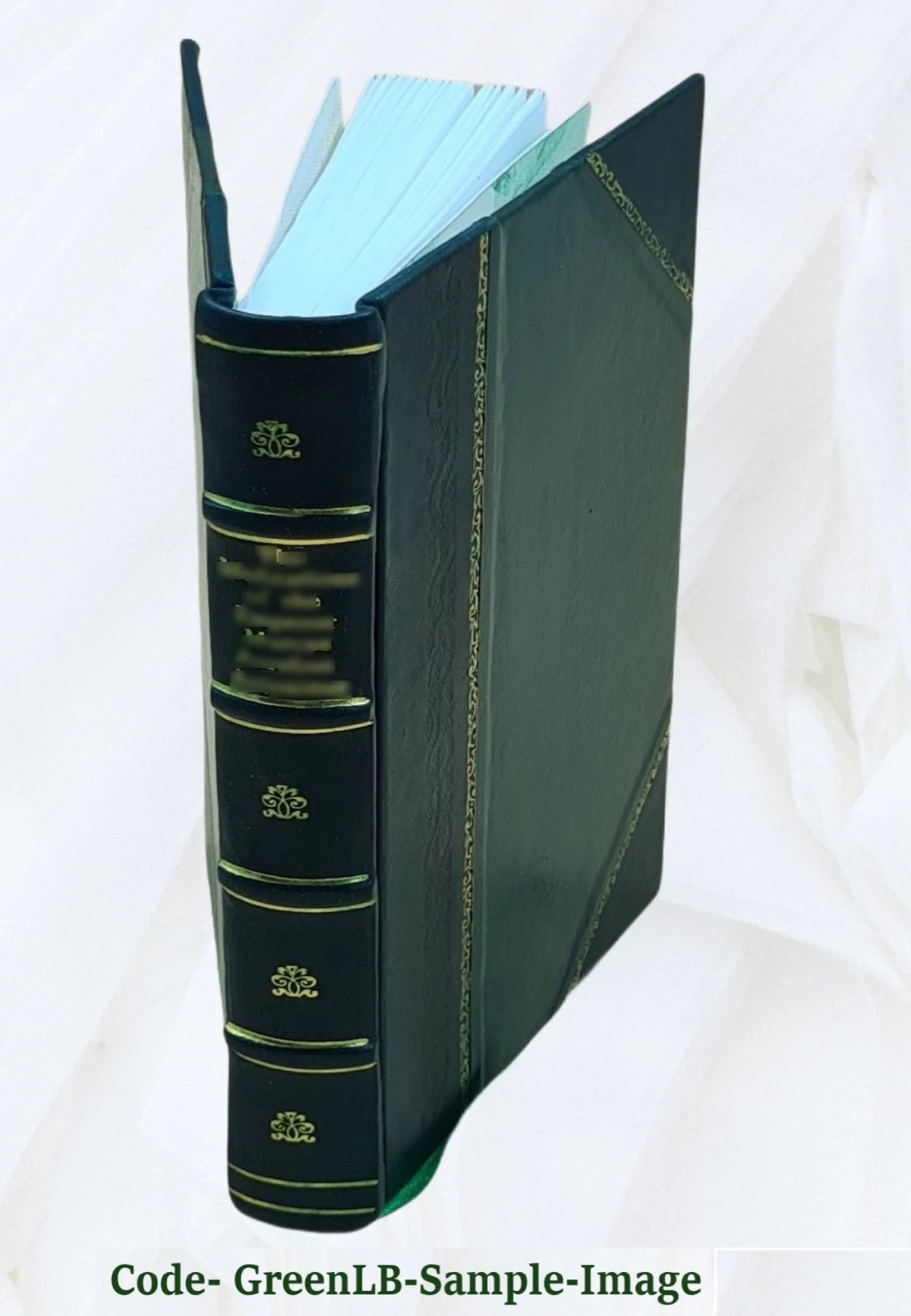 History of Prussian Politics 1855 Leather Bound V161