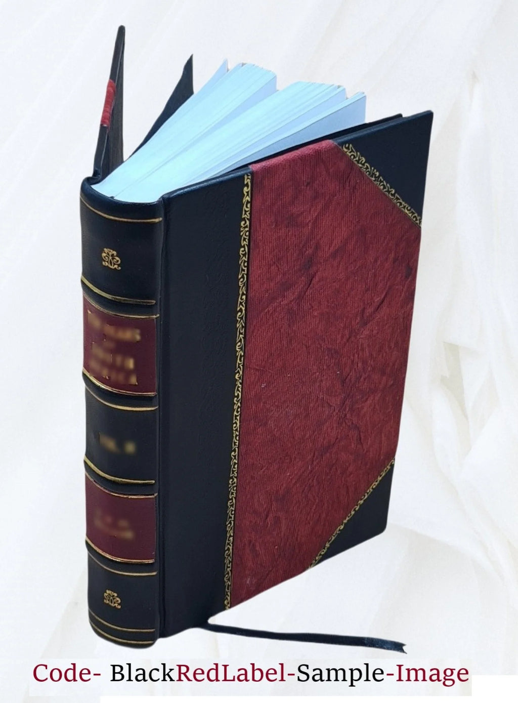 History of Prussian Politics 1855 Leather Bound V161