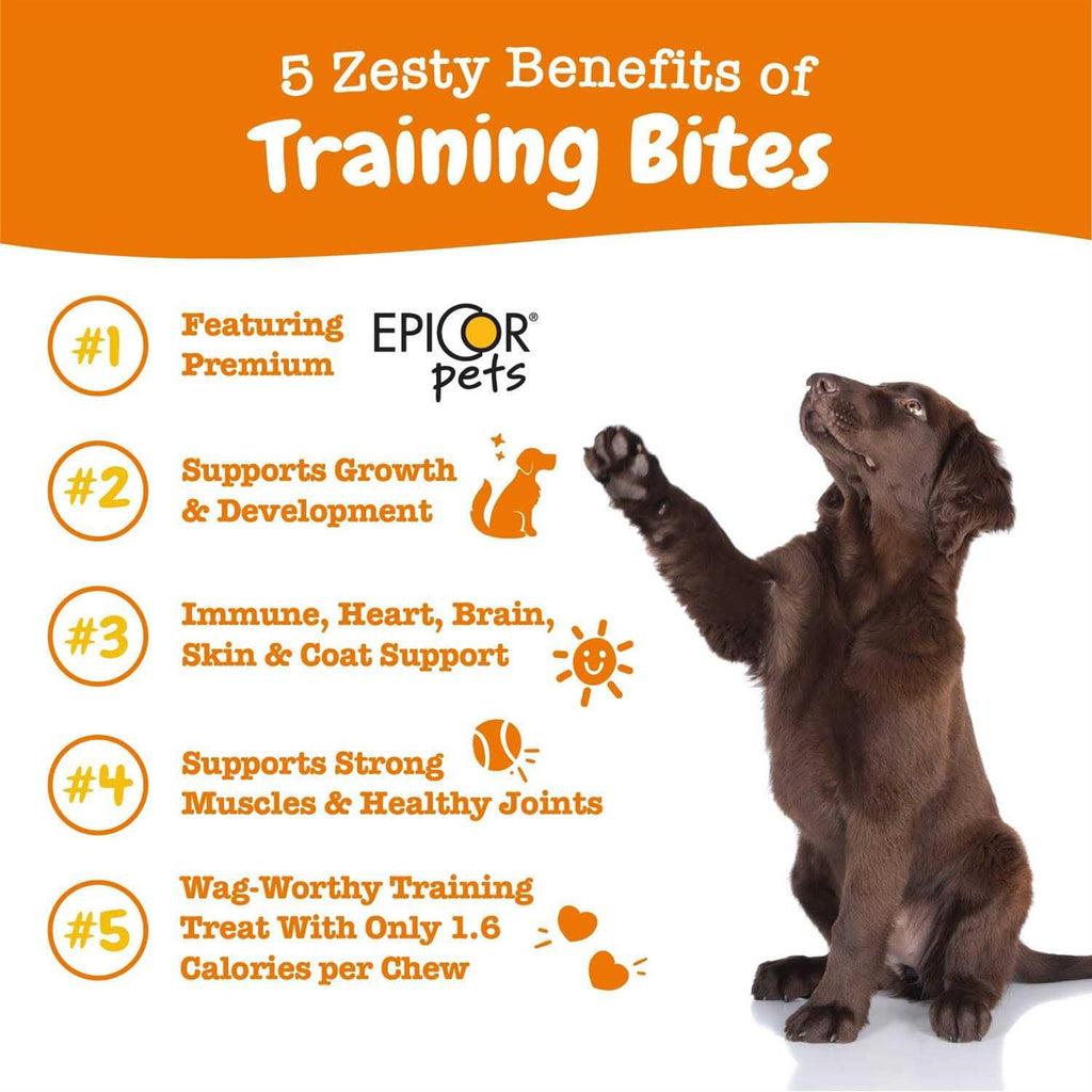Training Treats for Dogs R2884
