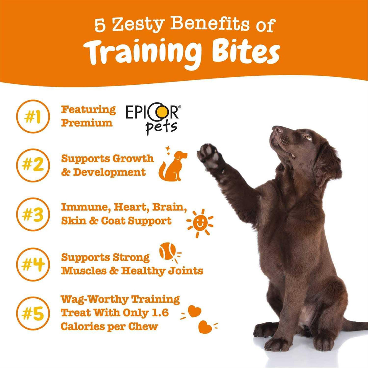 Training Treats for Dogs R2884